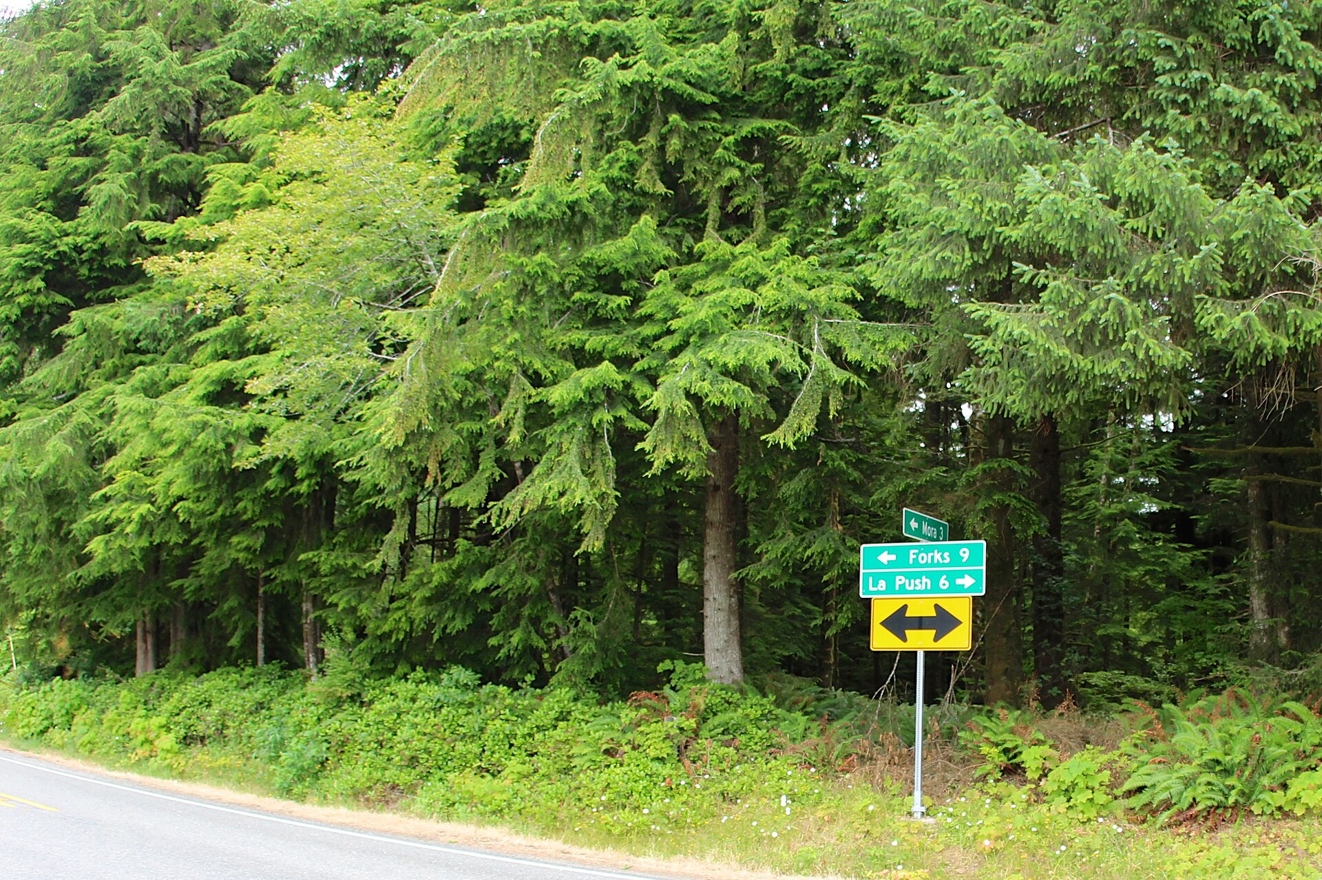 A road sign with multiple direction arrows
