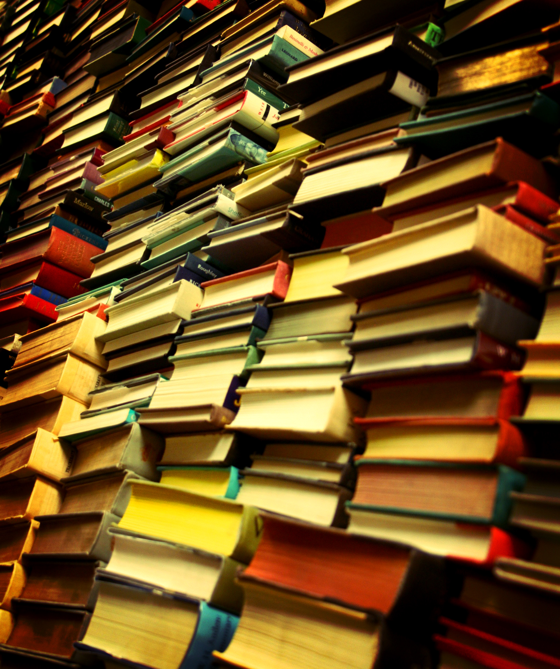 3-365 Just another day at the library. - Flickr - ginnerobot.jpg