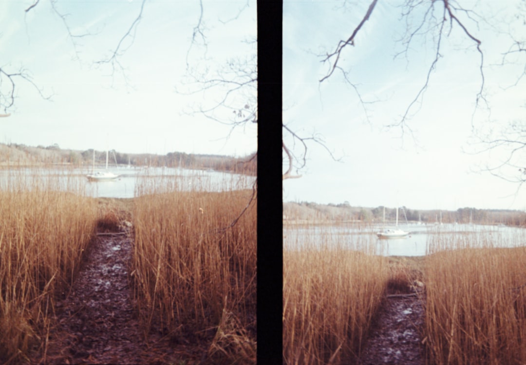 two pictures of a path leading to a body of water